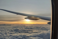 20220512_041410-scaled