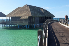 20230921_164832-scaled