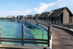 20230921_165300-scaled