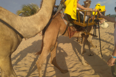 IMG_20170206_164828-scaled